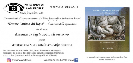 Dentro l'anima del legno